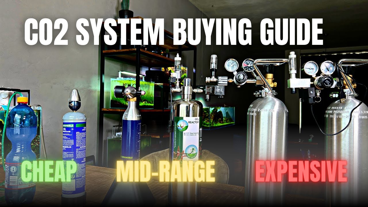 BEST CO2 SYSTEM FOR BEGINNERS🤔 CO2 SYSTEM BUYING GUIDE!💵