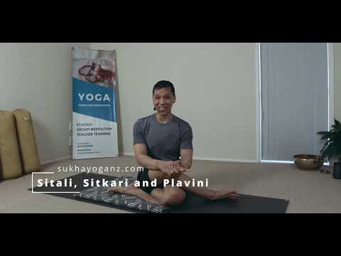 Sitali, Sitkari and Plavini Pranayama // Are Are the Differences?