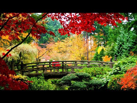 Japanese Garden | Incredible Japanese-style Garden | Incredible Design