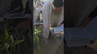 מו"ר הרה"ג רפאל זר שלחט"א בחביטת הערבה (הרב רפאל זר) - התמונה מוצגת ישירות מתוך אתר האינטרנט יוטיוב. זכויות היוצרים בתמונה שייכות ליוצרה. קישור קרדיט למקור התוכן נמצא בתוך דף הסרטון