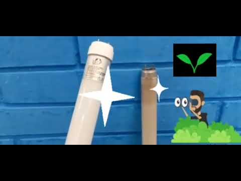 Vídeo institucional da reforma - Arthur Chagas Jr