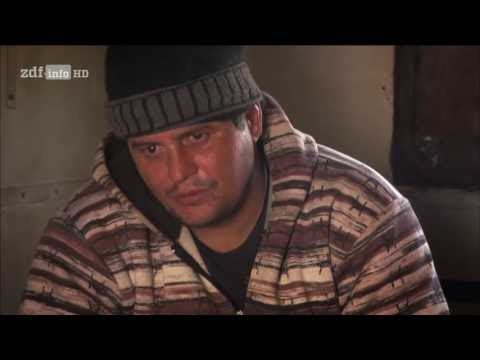 Giganten in Gefahr Der Kampf um die letzten Beluga Störe [HD Doku DEUTSCH] 2016