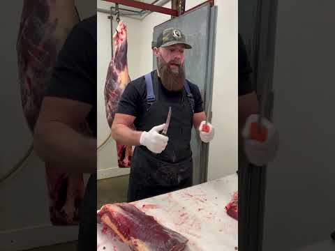 Honing the Victorinox 6" Boning Knife 🔪 #shorts #knife #sharpknife #thebeardedbutchers