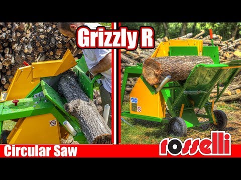 Pto Saw Bench Rosselli Grizzly 700 - Image 2