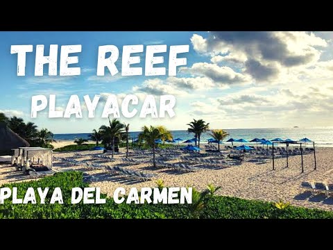 Videos del The Reef Playacar Beach Resort  Spa 5★ en Playa del Carmen, México
Ver Más
Ver
Precios
19
Cerrar
Consulta por Whatsapp 🇦🇷
Booking
Tripadvisor
Expedia
Travelocity
Orbitz
Priceline
Trip
Skyscanner
Despegar
Kayak
Hoteles
Bestday
Destinia
Trivago
Turismocity
Lastminute
Hotwire
Cheaptickets
Tui
