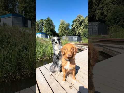 Dwie wodne świruski i ich idealny dzień☀️🩵