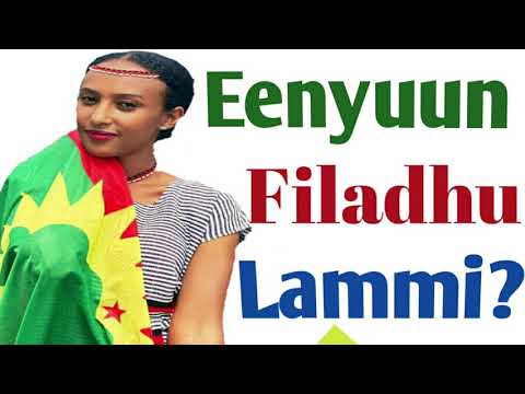 Eenyuun Filadhu Lammi