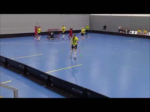 BTSM Koovee- PSS maalikooste, Eerikkilä Tammela, 06.01.17 klo. 17:30