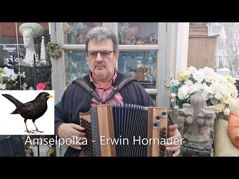 Amselpolka - Erwin Hornauer