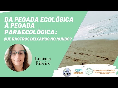 Conexão Socin: Da pegada ecológica à pegada paraecológica: Que rastros deixamos no mundo?