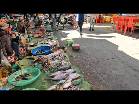 Cambodian Dried Fish & Beef Market Tour, Walking @ Psa Beuong Chok  Carp Dried fish & More