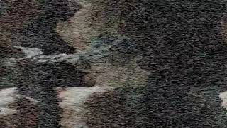 #anniekhalid  [ Gorey Desi ]- Official Music Video By Annei Khalid