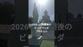 2026.3.3再開したビッグブッダに行ってきました　 #ビッグブッダプーケット #プーケット観光 #shorts #プーケット