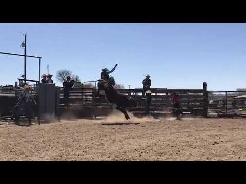 Buck The Virus Champion Fire Ball Of KickBack Buckers