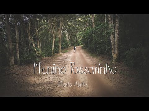 Menino Passarinho - Murilo Abrita