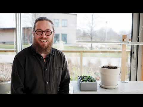 Odla gurka från Det stora Fröäventyret - Del 1