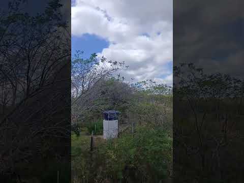 Tempo ficando Nublado em Olivedos PB