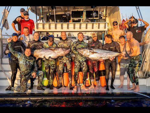 Coral Sea | A Spearfishing Expedition