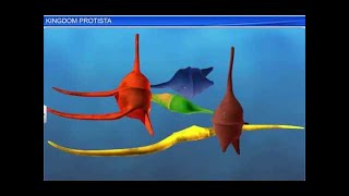 CBSE Class 11 Biology || Kingdom Protista || By Shiksha House