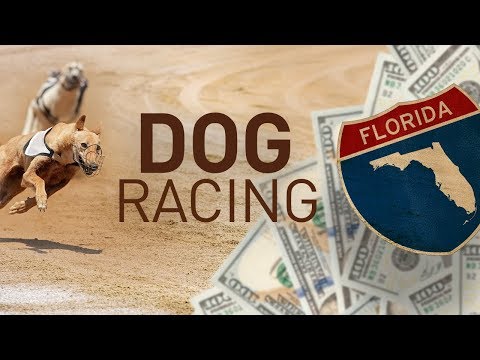 FULL MEASURE: November 4, 2018 - Dog Racing