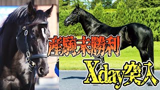 【陣営の誤算】コントレイル産駒未勝利のままXデー突入か