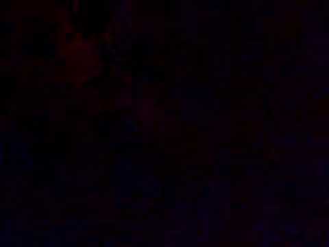 sylvester in helmstedt