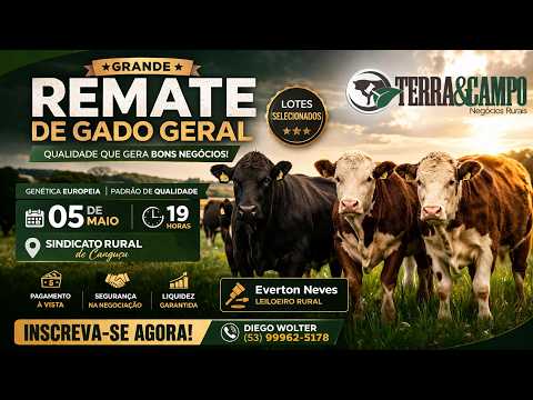 REMATE  DE GADO GERAL | CANGUÇU | TERRA&CAMPO NEGÓCIOS RURAIS.