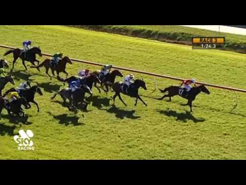 Belmont Park, 13/07/2016 - Race 3 - KIM SHANGHAI - Shelby Bowtell