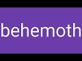 Behemoth Definition & Meaning