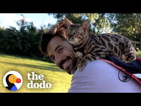 Cat Insists On Jumping Onto Her Dad's Shoulders For Bike Rides | The Dodo Soulmates