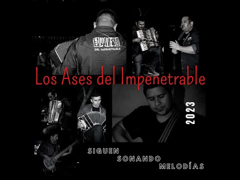 LOS ASES DEL IMPENETRABLE 2023 - CUANDO LA VEO