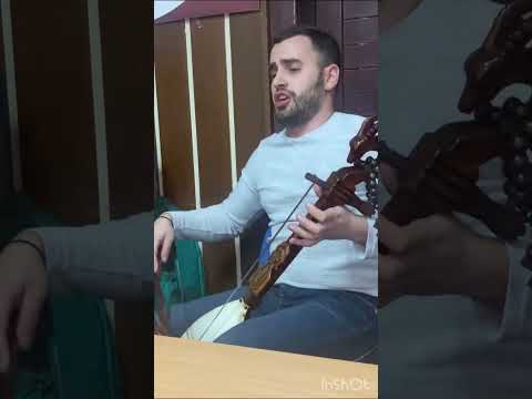 Гусле - Александар Арсић