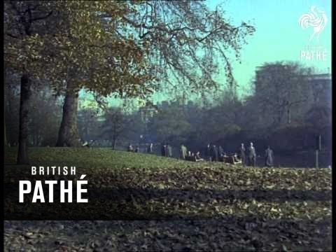 Documentary Colour Cuts (1961)