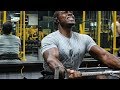 The Perfect Back Workout For Building Muscle & Strength!!!