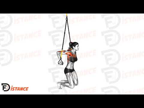 Dips aux sangles ou TRX (assistés, pieds au sol) - Exercice Dips aux sangles ou TRX (assistés, pieds au sol) en vidéo