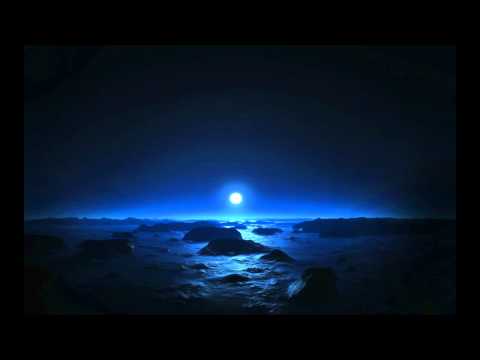 Rain in a Port City - Electric Mantis