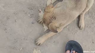 inki aankhon mein malik ka chehra kabhi nhi bhulta