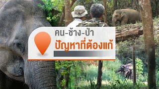[Live] ปัญหาผลักดันช้างป่า ปราจีนบุรี-ฉะเชิงเทรา | จับตารอบทิศนอกรอบ | 12 ธ.ค. 66