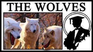 What Are These Wolves Laughing About