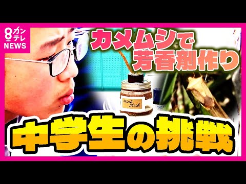「カメムシ」で芳香剤作る研究　中学生が“いいにおい”する種類捕まえる　作物荒らす嫌われものが役立つか | 特集 | ニュース | 関西テレビ放送 カンテレ