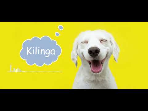 Sammy Star - Kilinga {Official Audio}