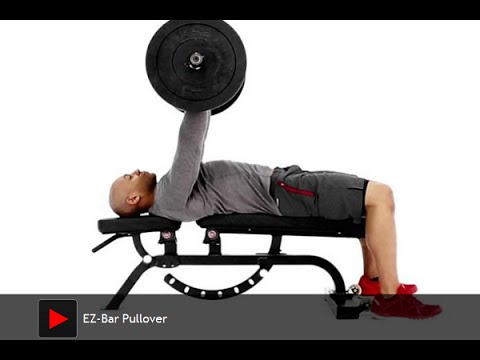EZ Bar Pullover Exercise