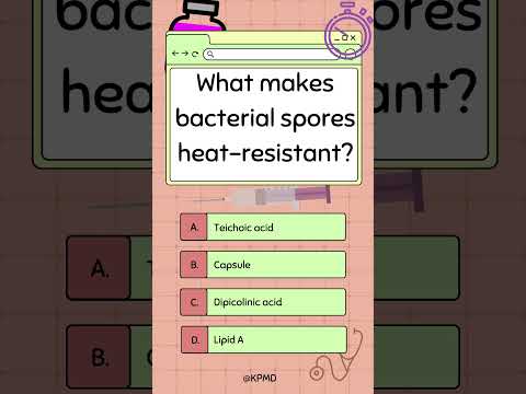 Heat Shield – Bugged Out Bites #15