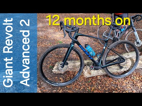 Giant Revolt Advanced 2 - 12 month review short