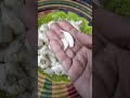 Cholesterol Controlled In A Month