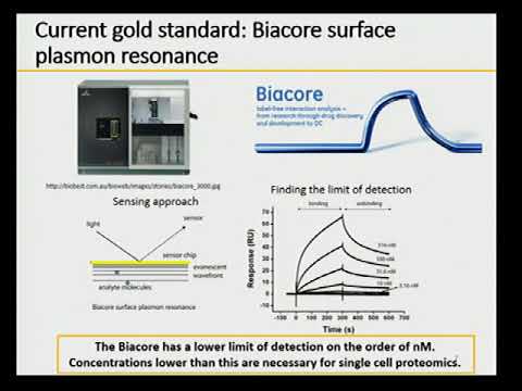 Colloquium: Judith Su - Single Molecule Detection with Microtoroid Resonators
