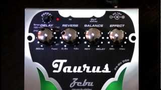Video thumbnail for Zebu - reverb/delay (Taurus Amp) by TaurusAmp