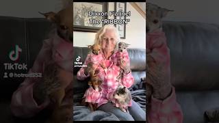 Download lagu Thx ​⁠@DixxonFlannelCo 🩷🤍 #chihuahuafanclub #funny #dog #puppy #Chihuahua #milf #dixxon mp3