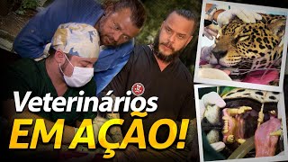 Miniatura do vídeo