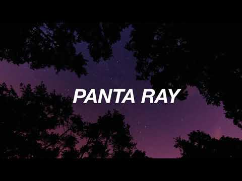 PANTA RAY - Sugar Sugar
